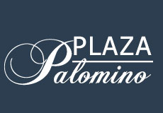 Plaza Palomino | Boutique Shopping in Tucson, AZ